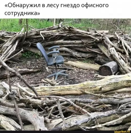 Смешная картинка №647148