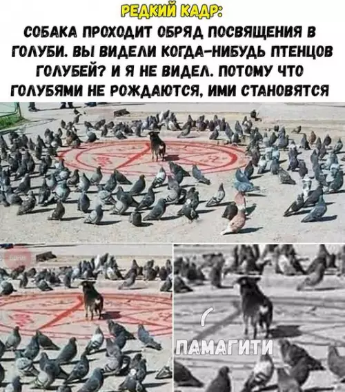 Смешная картинка №275572