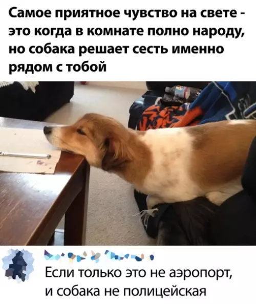 Смешная картинка №503651