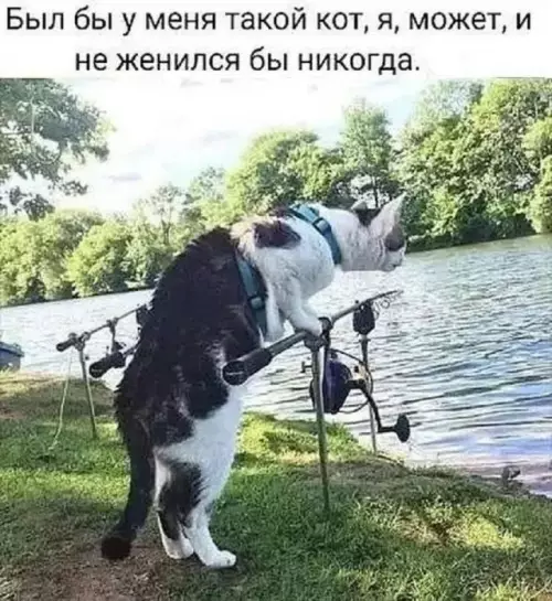 Смешная картинка №804827