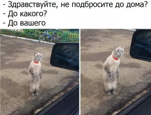 Смешная картинка №202444