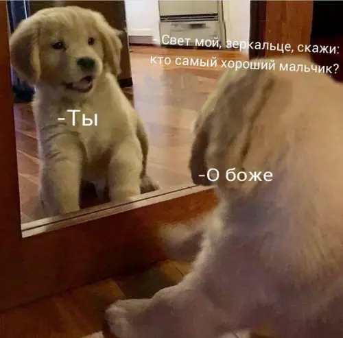 Смешная картинка №270643
