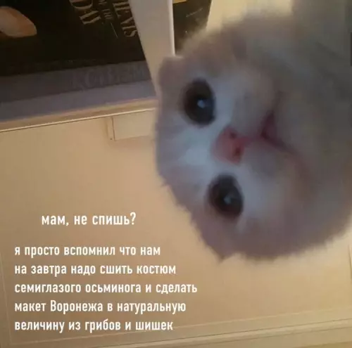 Смешная картинка №584434 Когда еле дотащила себя до постели, и тут твой ребёнок такой: дети, школа