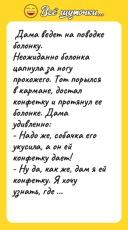  Дама ведет на поводке болонку.  Неожиданно болонка цапнула
