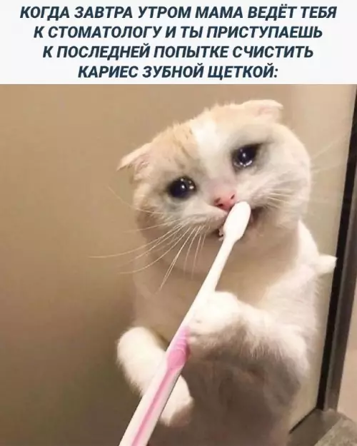 Смешная картинка №708505