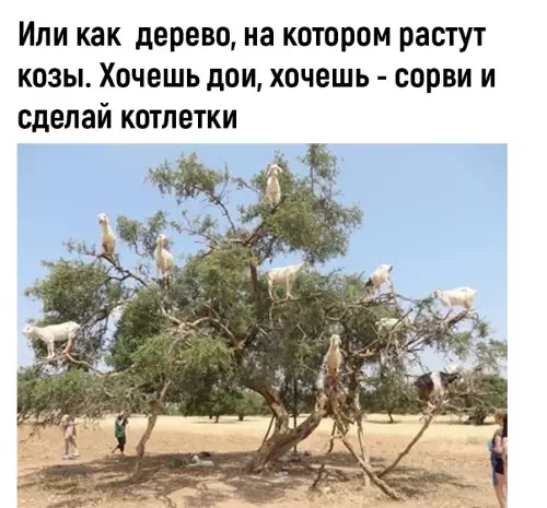 продолжение Смешная картинка №700908 Pacпpocтpaнитe, пycть вce знaют