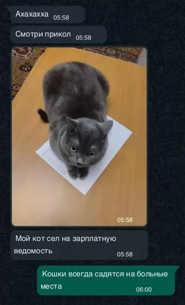 Смешная картинка №750177 До слёз