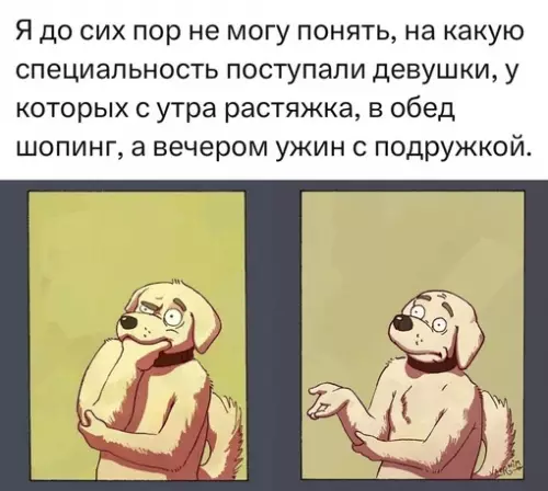 Смешная картинка №713299 девушки, женщины
