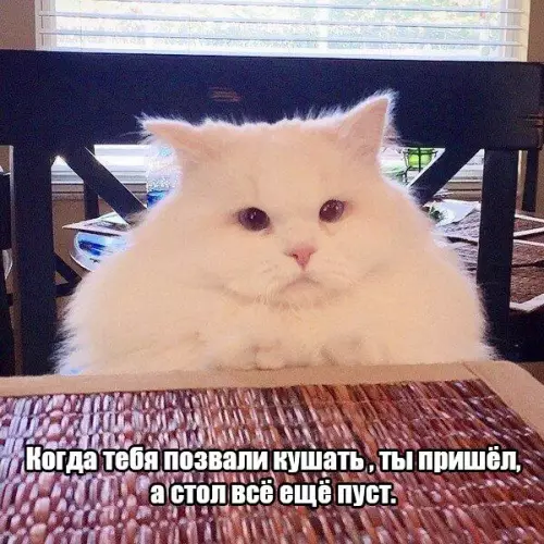 Смешная картинка №175295