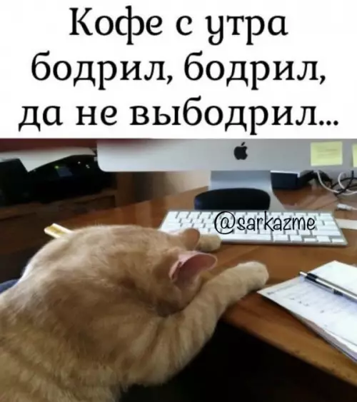 Смешная картинка №652204