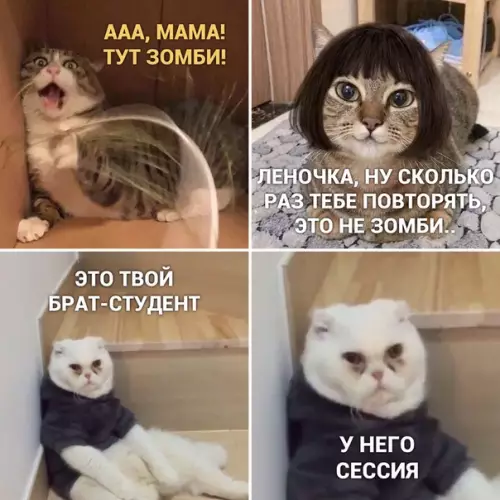 Смешная картинка №449627