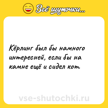 Шутка: Кёрлинг был бы намного интересней, если бы на камне ещё и сидел кот.