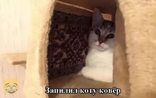 Смешная картинка №365099 #приколы #картинки #мемы ?