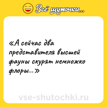 Шутка: «А сейчас два представителя высшей фауны скурят немножко флоры…»