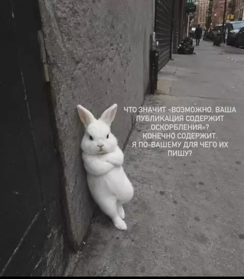 Когда ты слишком честен с аудиторией 🐰🔥 - ЧТО ЗНАЧИТ ВОЗМОЖНО, ВАША ПУБЛИКАЦИЯ СОДЕРЖИТ ОСКОРБЛЕНИЯ? КОНЕЧНО СОДЕРЖИТ. Я