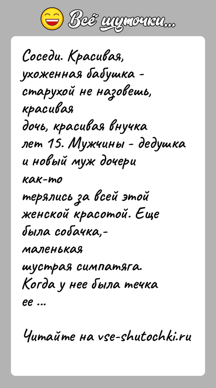 История: Соседи. Красивая, ухоженная бабушка - старухой не назовешь, красиваядочь, красивая внучка лет 15. Мужчины - дедушка и новый муж дочери