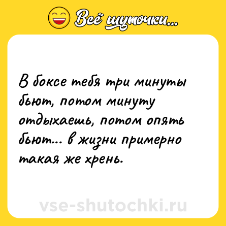Шутка: В боксе тебя три минуты бьют, потом минуту отдыхаешь, потом опять бьют... в жизни примерно такая же хрень.