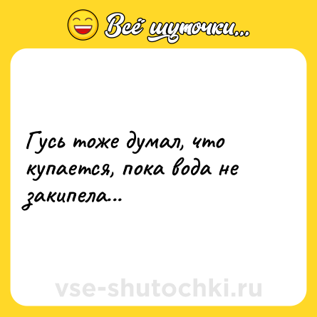 Шутка: Гусь тоже думал, что купается, пока вода не закипела...
