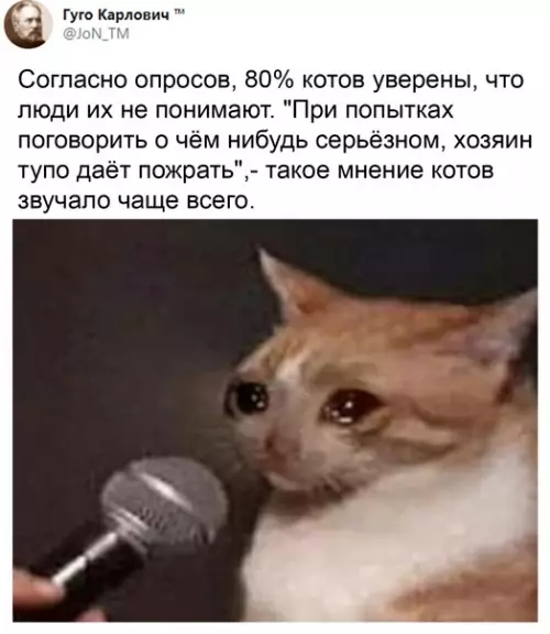 Смешная картинка №543787 Проблемы пушистых.