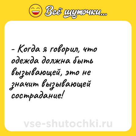 Шутка: - Когда я говорил, что одежда должна быть вызывающей, это не значит вызывающей сострадание!