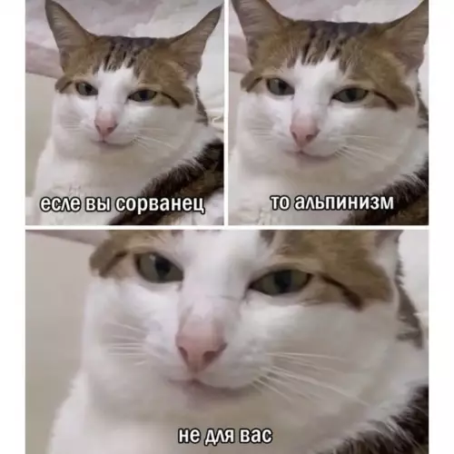 Смешная картинка №771444