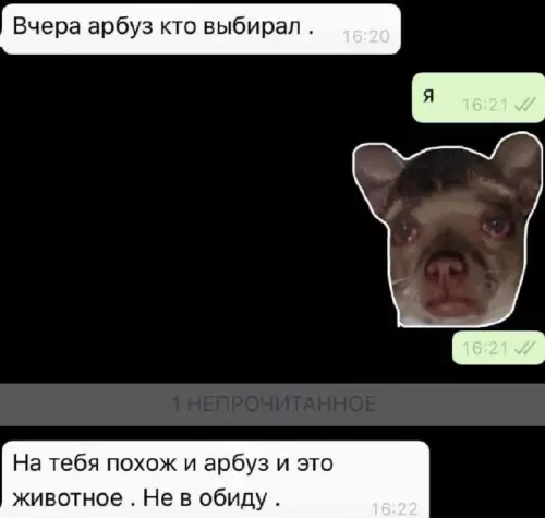 Смешная картинка №727796 переписка