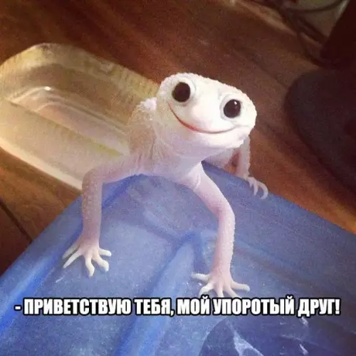 Смешная картинка №209065