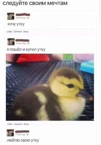 Смешная картинка №245868