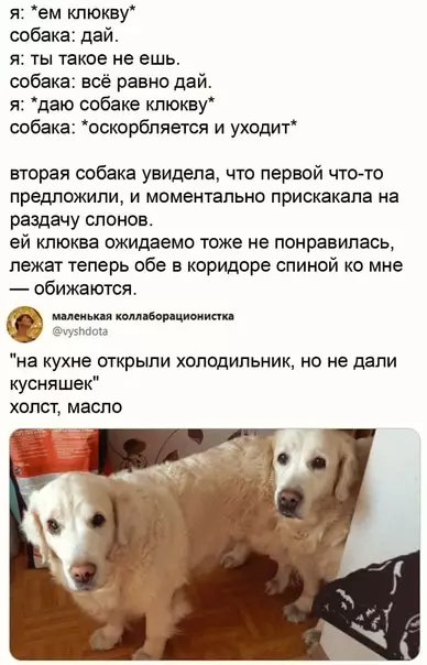Смешная картинка №568511 Oбидa