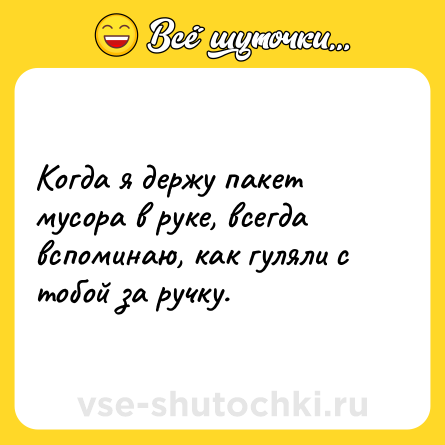 Шутка: Когда я держу пакет мусора в руке, всегда вспоминаю, как гуляли с тобой за ручку.