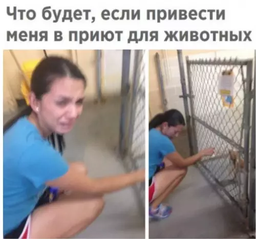 Смешная картинка №291044