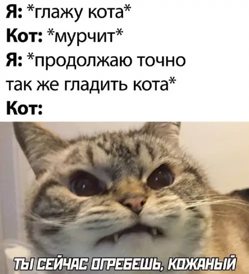 Смешная картинка №674835