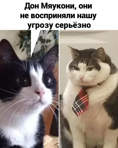 продолжение Смешная картинка №573358