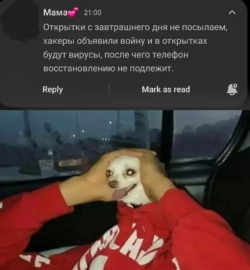 Смешная картинка №632585