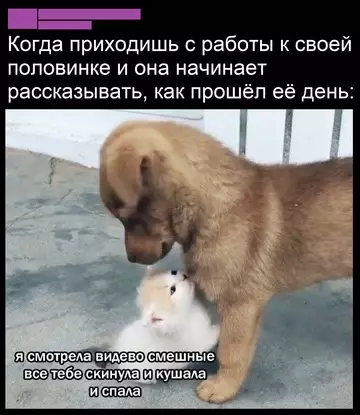 Смешная картинка №759674