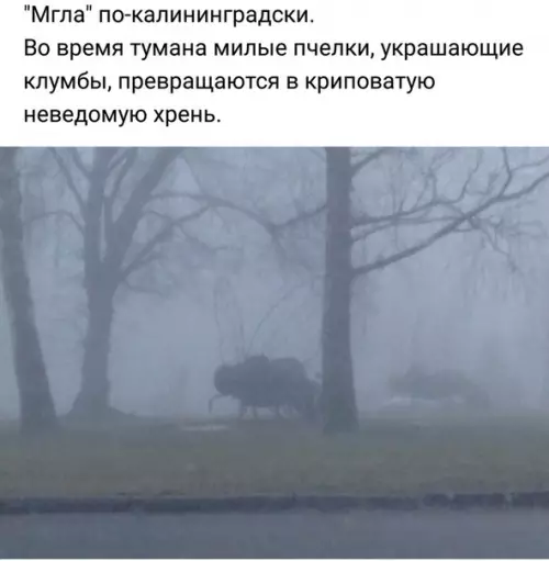Смешная картинка №249874