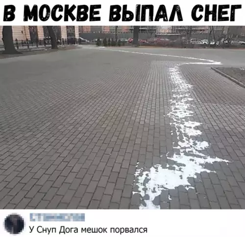 Смешная картинка №426644