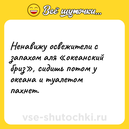 Шутка: Ненавижу освежители с запахом аля «океанский бриз», сидишь потом у океана и туалетом пахнет.