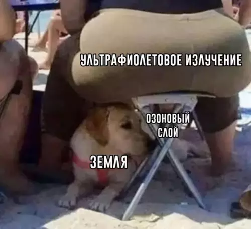 Смешная картинка №436927 Мем для тех, кто не прогуливал школу