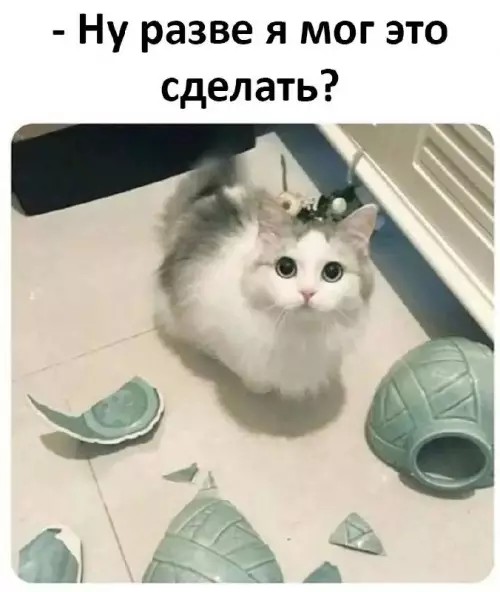 Смешная картинка №692406