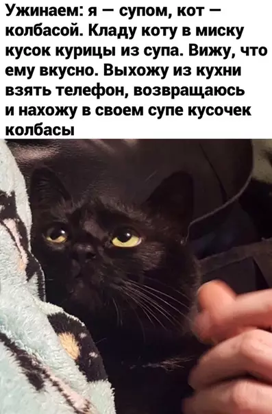 Смешная картинка №537410