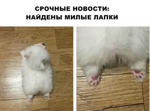Смешная картинка №288196