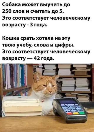 Смешная картинка №655298