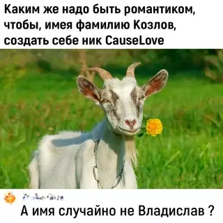 Смешная картинка №715698