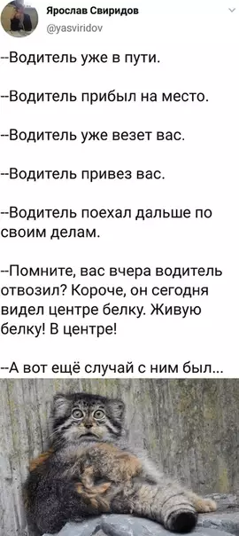Смешная картинка №381558