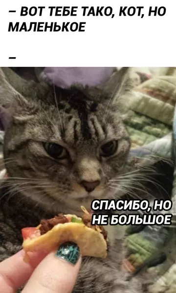 Смешная картинка №761828 Не от души