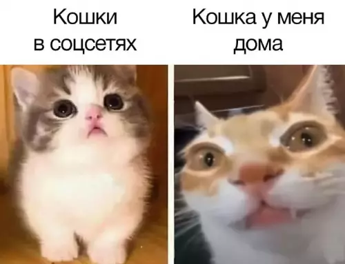 Смешная картинка №705698