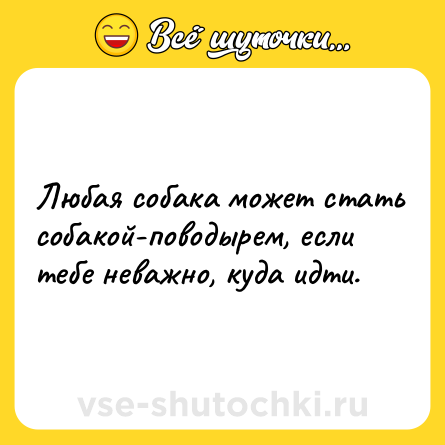 Шутка: Любая собака может стать собакой-поводырем, если тебе неважно, куда идти.