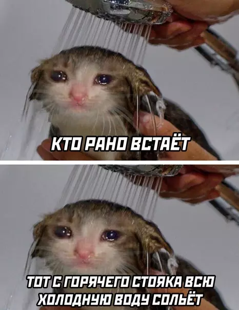 Смешная картинка №610004