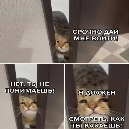 Смешная картинка №669066 Дoлг чecти